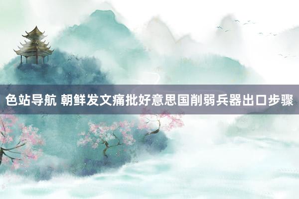色站导航 朝鲜发文痛批好意思国削弱兵器出口步骤