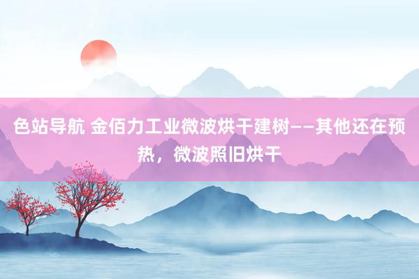 色站导航 金佰力工业微波烘干建树——其他还在预热，微波照旧烘干