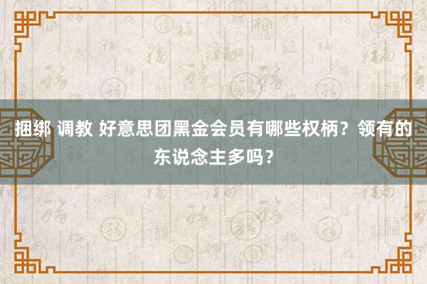 捆绑 调教 好意思团黑金会员有哪些权柄？领有的东说念主多吗？