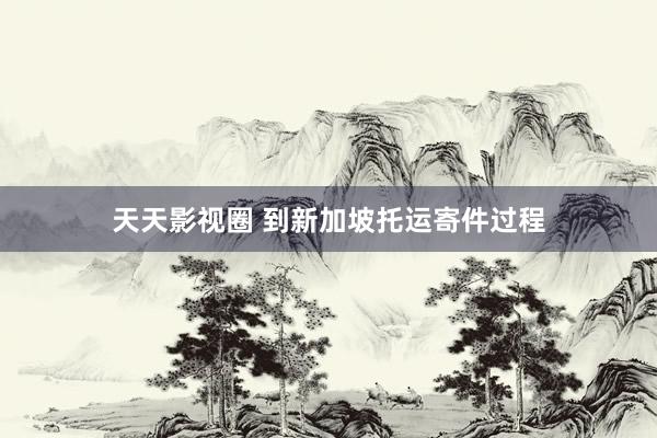天天影视圈 到新加坡托运寄件过程