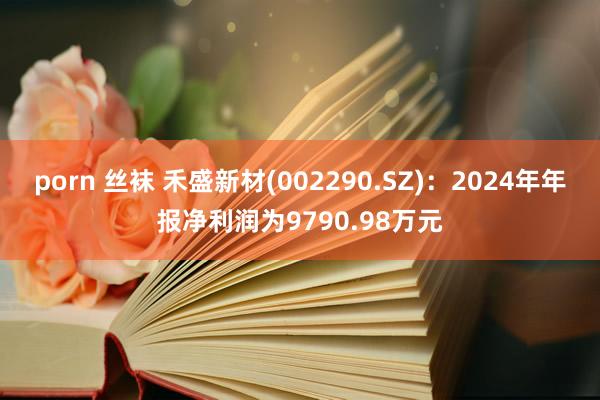 porn 丝袜 禾盛新材(002290.SZ)：2024年年报净利润为9790.98万元