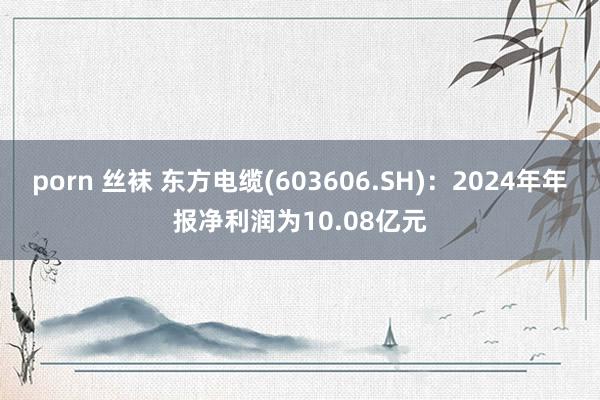 porn 丝袜 东方电缆(603606.SH)：2024年年报净利润为10.08亿元